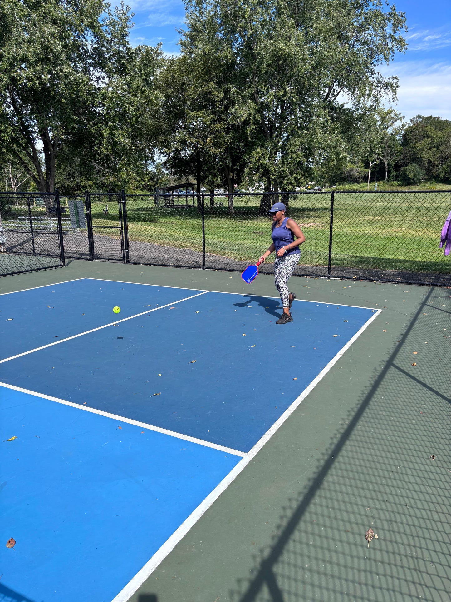 Silver Strands T-300 Pickleball Paddles